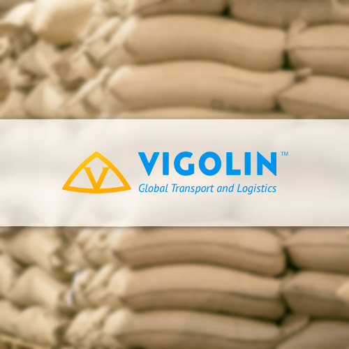 International Transport and Logistics Company - VIGOLIN LTD